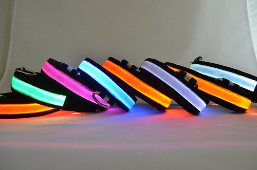 LED Light-Up Dog Collar – Safety Gift for Dog Lovers The Gift Atelier