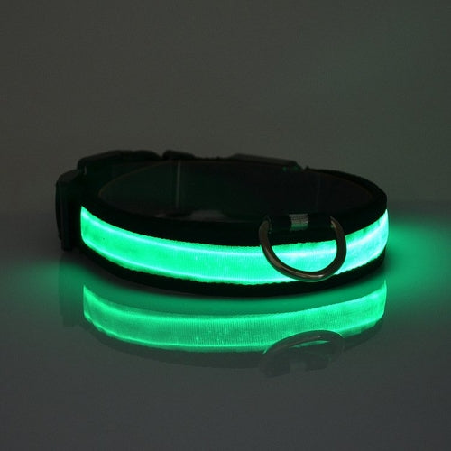 LED Light-Up Dog Collar – Safety Gift for Dog Lovers The Gift Atelier