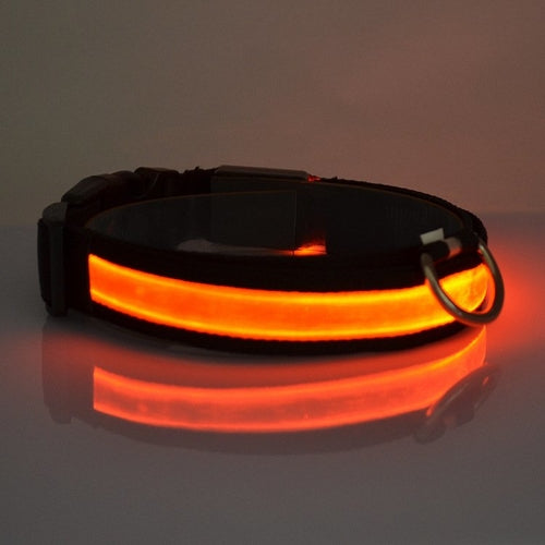 LED Light-Up Dog Collar – Safety Gift for Dog Lovers The Gift Atelier